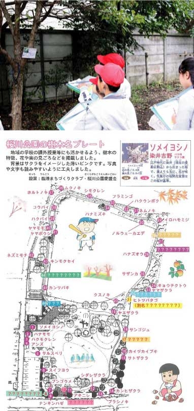 川崎区の公園で樹木を学ぶ課外活動を実施1